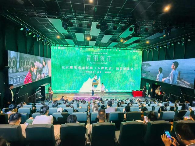 《功夫女足》《八仙！》双强驱动，影院迎来夏日观影热潮
